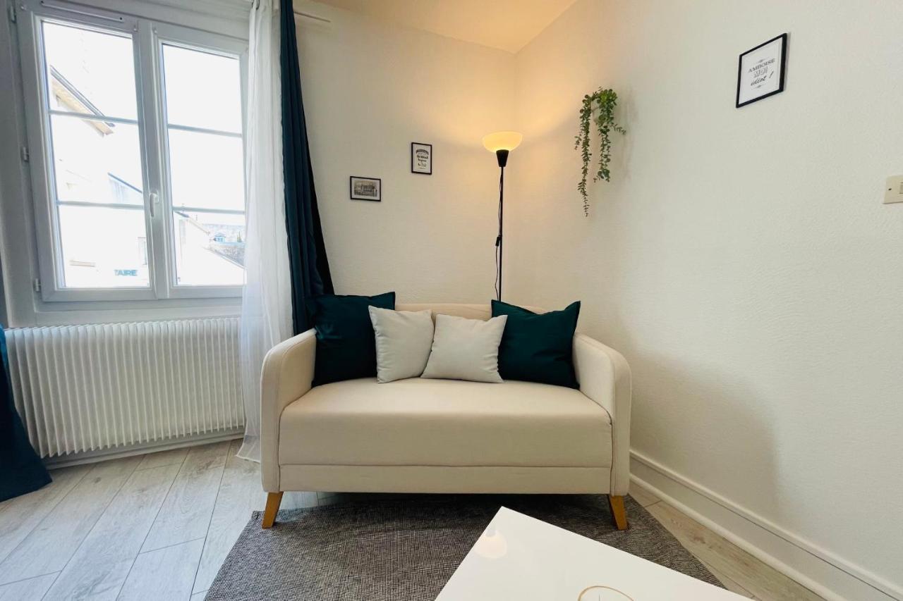 Entre 2 Rives Echappee Amboisienne Avec Sauna Partage Amboise Luaran gambar